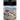 The Republic