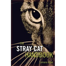 The Stray Cat Handbook