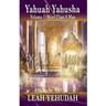 Yahuah Yahusha: Volume 1: More Than A Man