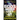 The Gods Never Left Us: The Long Awaited Sequel to the Worldwide Best-Seller Chariots of the Gods