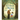 All from a Walnut: A Picture Book
