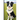 It's Time to Learn about Border Collies