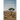 A Field Guide to the Namib Desert