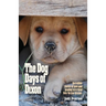 The Dog Days of Dixon: Incredible stories of love and healing in a rural New Mexico Rescue