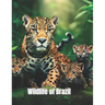 Wildlife of Brazil: coloring book