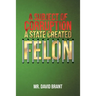 A Subject of Corruption: A State Created Felon