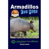 Armadillos For Kids