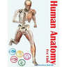 Human Anatomy for Kids