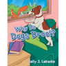 Why Do Dogs Drool?