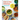 Kid in the Kitchen: 100 Recipes and Tips for Young Home Cooks: A Cookbook
