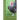Keeping Chickens (and your sense of humour): a beginner's guide