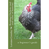 Keeping Chickens (and your sense of humour): a beginner's guide