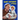 Saint Anthony of Padua: The World's Best Loved Saint