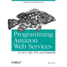 Programming Amazon Web Services: S3, EC2, SQS, FPS, and SimpleDB