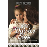 Wild Daisies Bloom