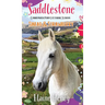 Saddlestone Connemara Pony Listening School Sinead and Strawberry