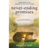 Never-Ending Promises