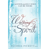 Walking in the Spirit: The Power of the Holy Spirit Can Be Yours