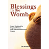 Blessings in the Womb: A Prayer Handbook for Pregnant Women With Post-Partum Recovery Prayers