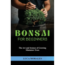 Bonsai for Beginners: The Art and Science of Growing Miniature Trees