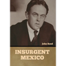 Insurgent Mexico