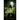 The Shampe: Terror Has a Name