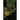 Miscreations: Gods, Monstrosities & Other Horrors