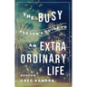 Busy Person's Guide to an Extraordinary Life
