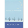 Looking for Dragon Smoke: Essays on Poetry