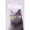 Address Book kitty