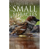 Believe in Small Miracles: Look for small miracles in your life.