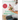 Eating for Pregnancy: Your Essential Month-By-Month Nutrition Guide and Cookbook
