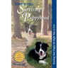 Surviving Puppyhood: Teaching Your Puppy the Right Way to Live