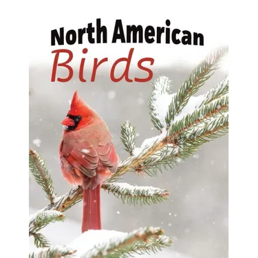 North American Birds