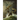 The Audacity of Hubris - Volume Two