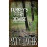 Turkey's Fiery Demise: Gabriel Hawke Novel