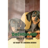 Miniature Dachshund Breed Guide: Get Ready To A Breeding Business: How Are Mini Dachshunds Bred