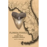 Florida Fossils: Shark Teeth & Marine Animals
