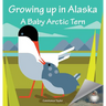 Growing Up in Alaska: A Baby Arctic Tern