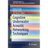Cognitive Underwater Acoustic Networking Techniques