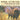 Animal Extinction and Preservation - Animal Books Children's Animal Books