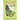 Medicinal Plants of Barbados for the Treatment of Communicable and Non-Communicable Diseases