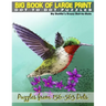Big Book of Large Print Dot-to-Dots: Puzzles from 198 to 563 Dots