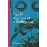 The 37 Practices of a Bodhisattva: Tokme Zangpo's classic 14th Century guide for travellers on the path to enlightenment