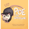 Poe The Opossum - A True Story