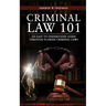Criminal Law 101: An Easy To Understand Guide Through Florida Criminal Laws