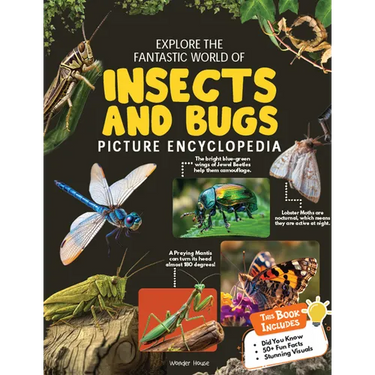 Explore Fantastic World of Insects and Bugs Picture Encyclopedia