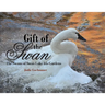 Gift of the Swan: The Swans of Swan Lake Iris Gardens