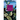 The Wine Dark Sea