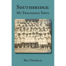 Southbridge: My Triggering Town